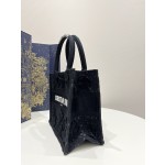 DIOR Tote latest spring and summer